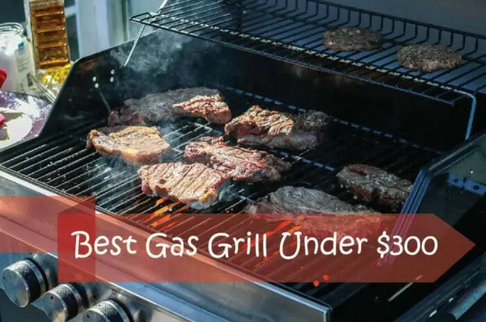 Best Gas Grill under $300