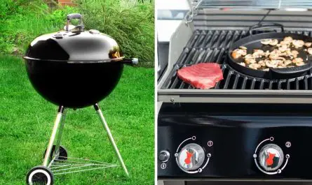 Pros And Cons of Charcoal VS Gas Grill For 2021
